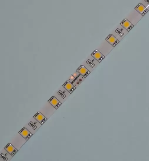 24v LED Tape 14.4w/m IP65