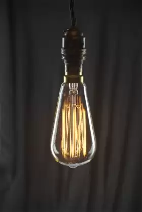 Squirrel Cage ST64 Filament Bulb 60W